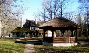 Meža māja Foto: Artis Veigurs