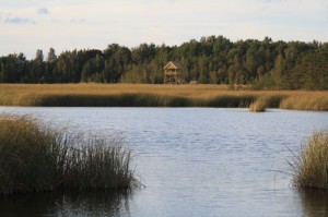 Putnu_verosanas_tornis_K.Lapins Putnu_verosanas_tornis_K.Lapins
