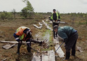 Lielā Ķemeru tīreļa laipa nojaukta. Foto: M. Stulpiņš Lielā Ķemeru tīreļa laipa nojaukta. Foto: M. Stulpiņš