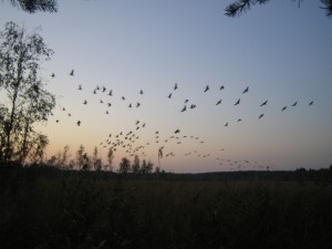 Vakars_KNP Foto: K. Lapiņš