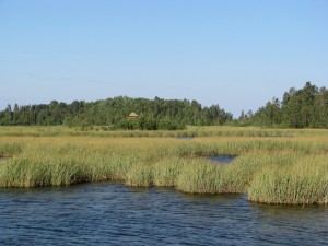 Kaņieris. Autore A.Priede Kaņieris. Autore A.Priede